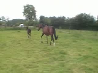 Thémis, 28 mai 2009