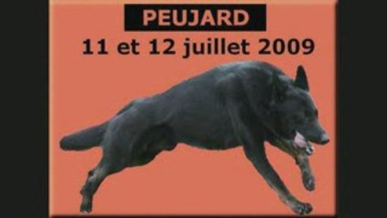 Peujard 2009