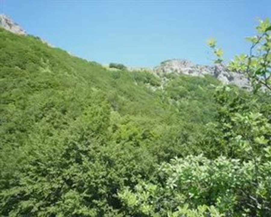 Le Pas de la Sausse (Vercors Centre)