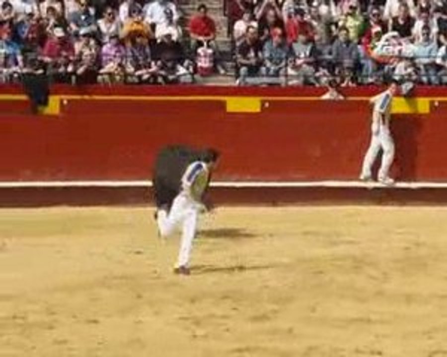 Recortadores en Valencia