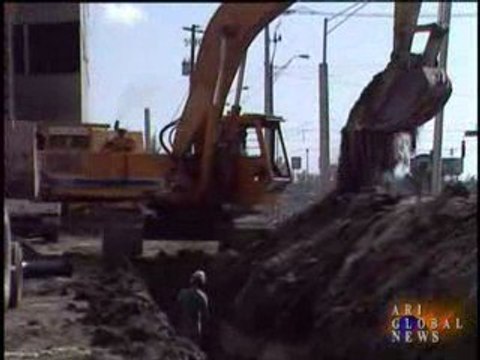 Мир без нас. Какой он?