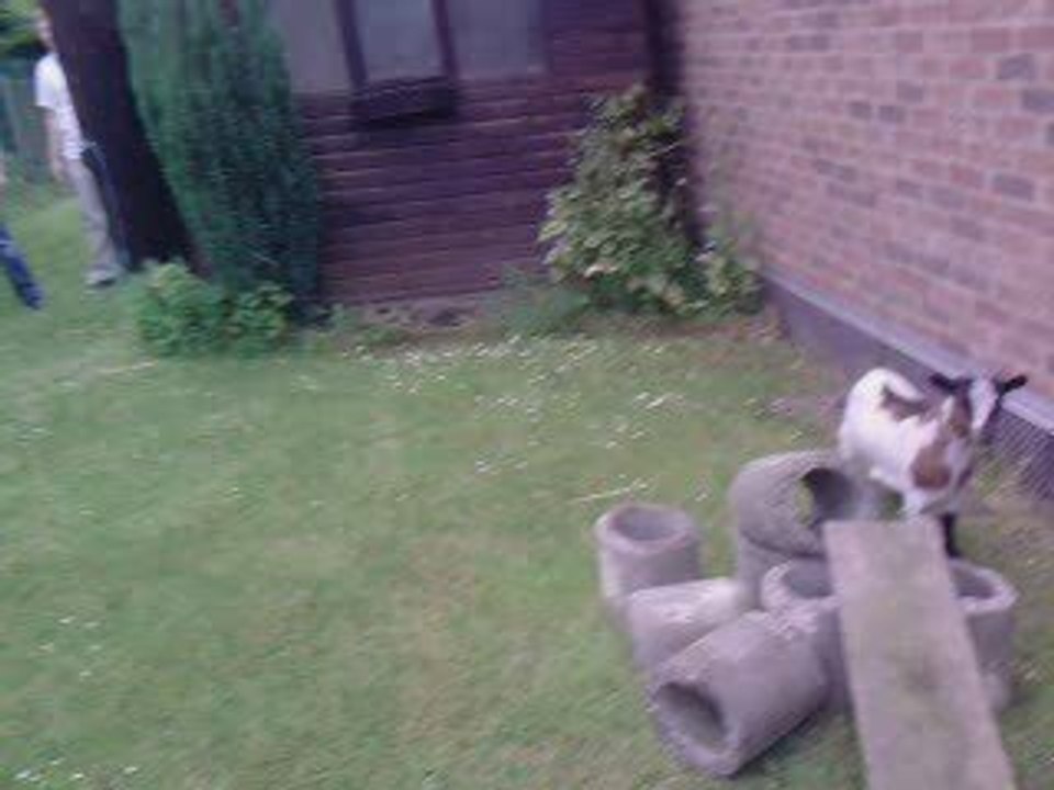 Cours Cours biquettes 2