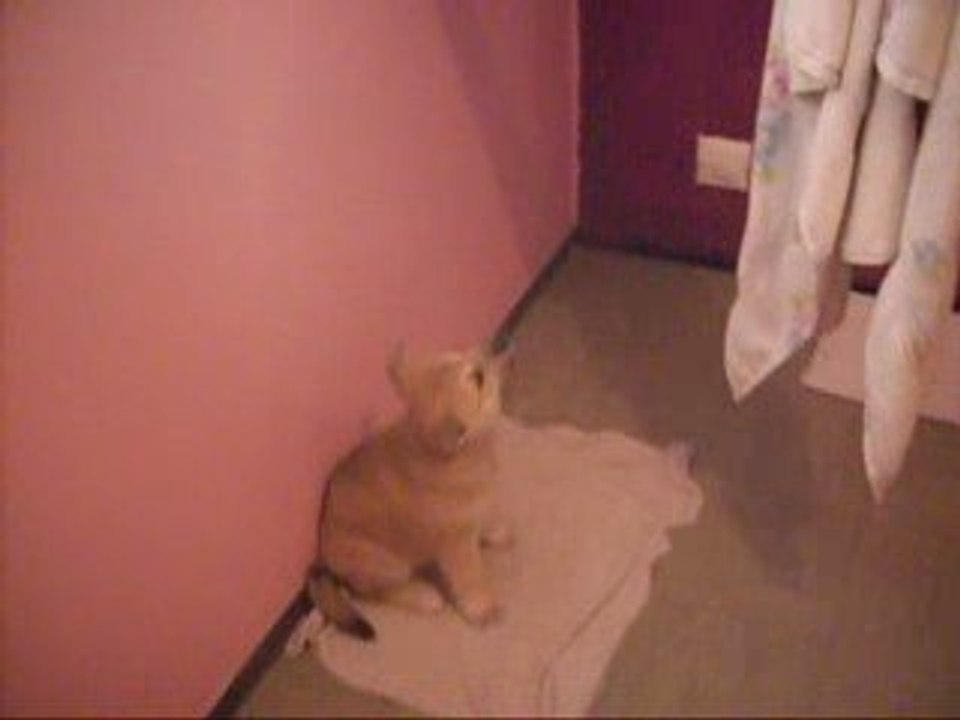 Tess et Emeraude le 4 Juin 2009