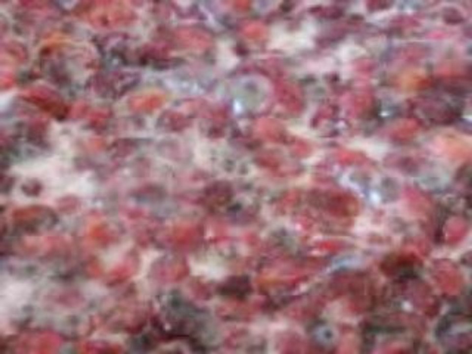 MOV01677