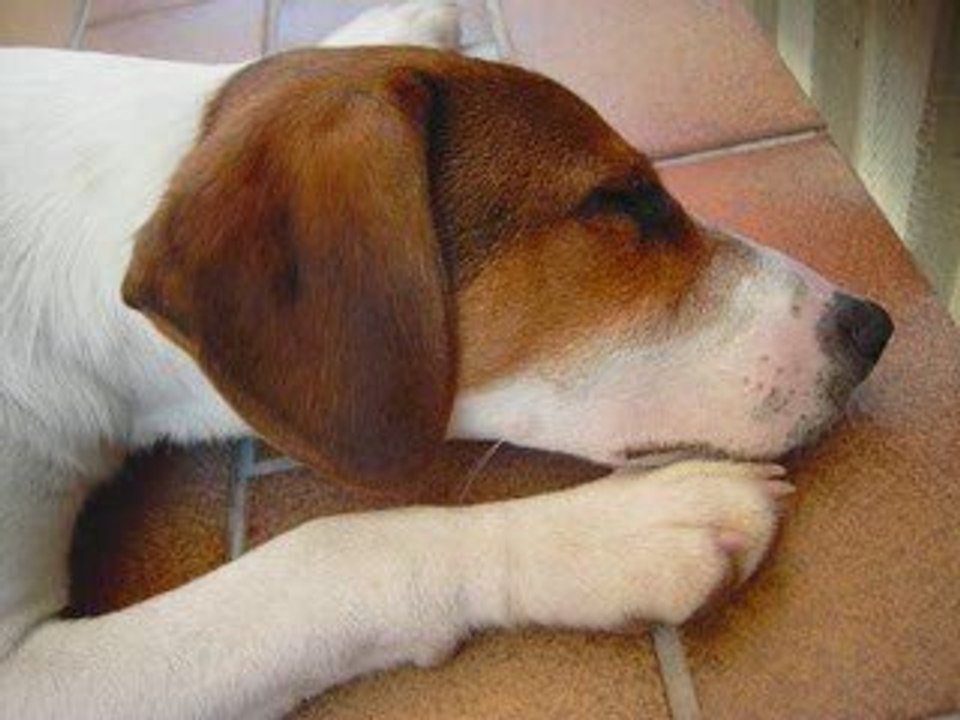 Einmal kommt das leben