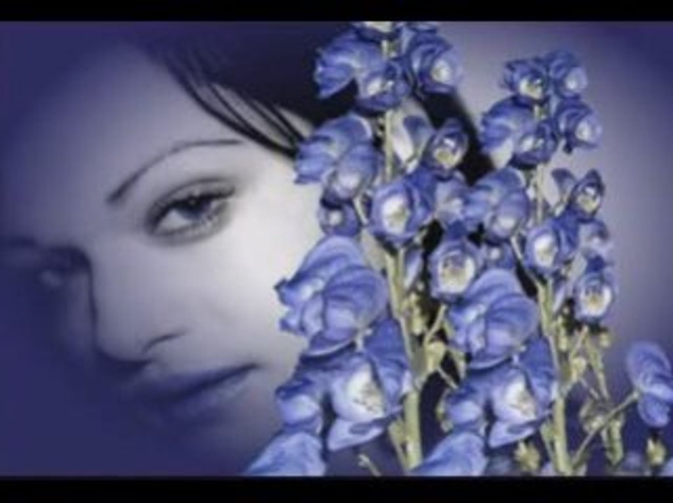 And I Love You So - Alexander Zailer