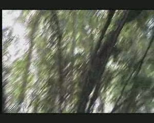 THE MIMIK SHOW SKETCH 9 L AGENT IMMOBILIER