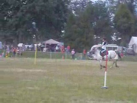 5 drapeaux le 1 juin 2009 pony games