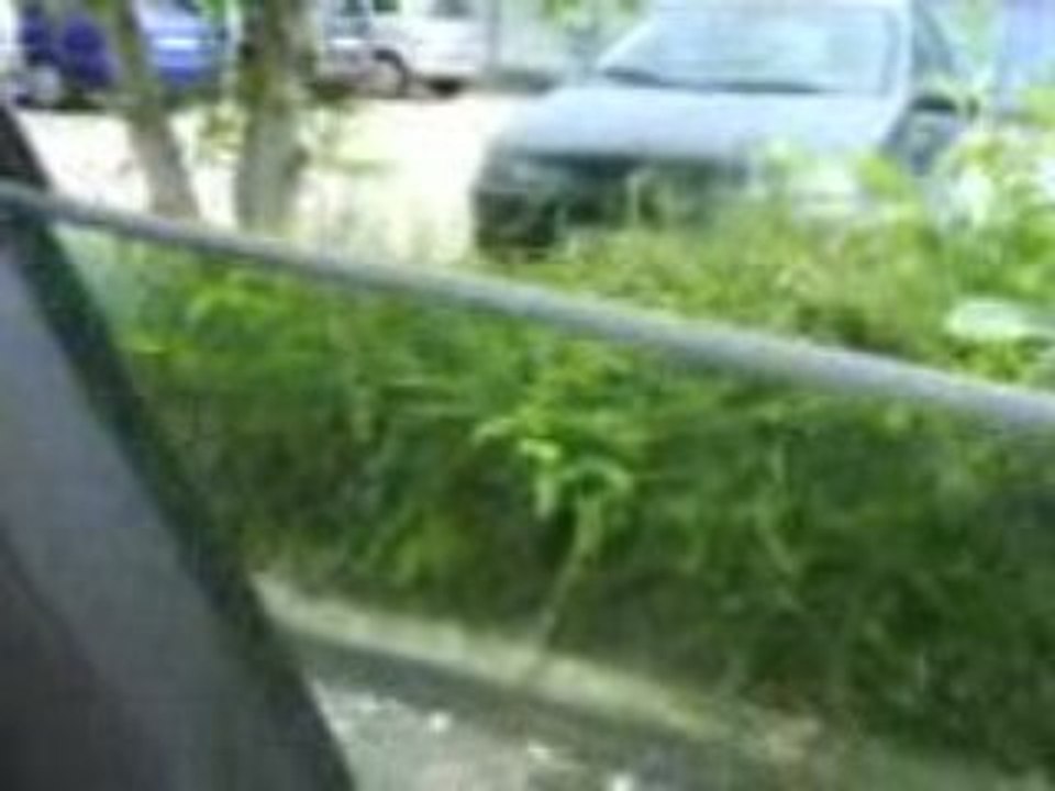 MOV00607