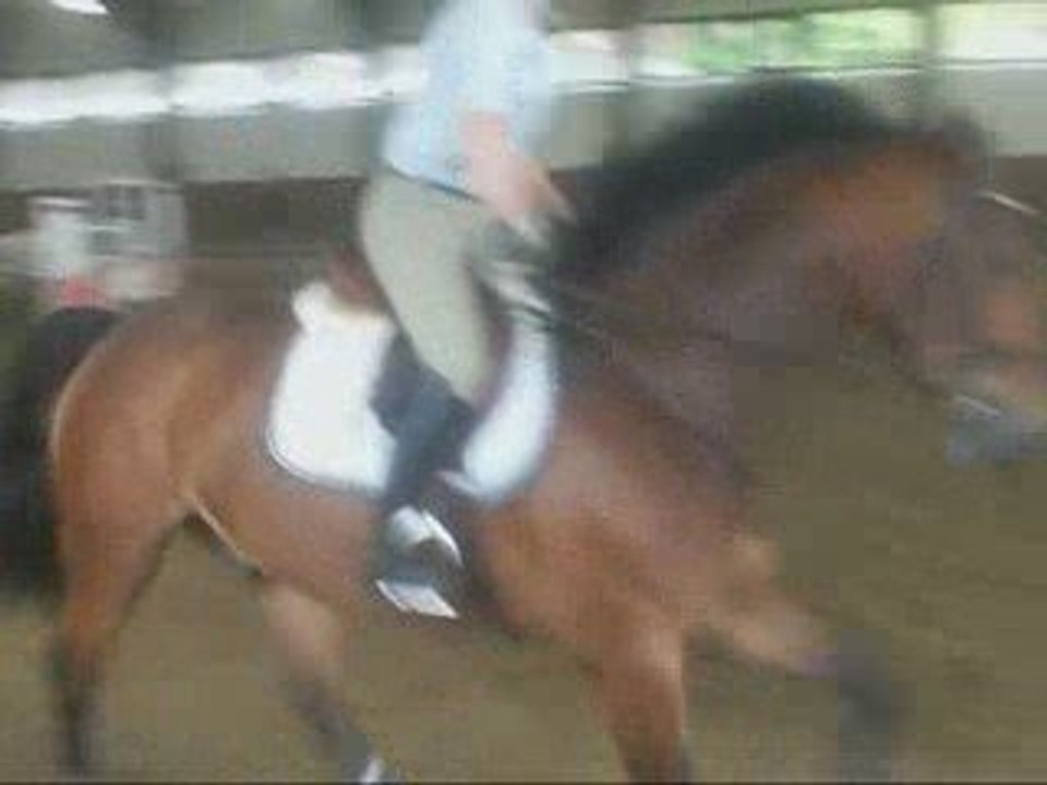 Lennart