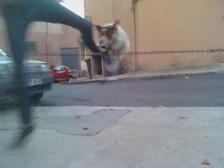 19 Novembre 2008 - 04