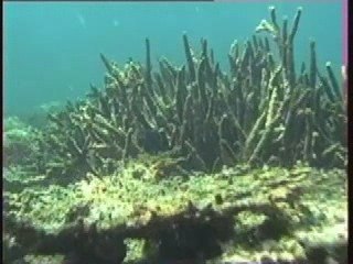 koh lipe (a Robinson Crusoé style of life)