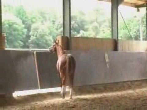 RAFAELO liberté 1er sauts