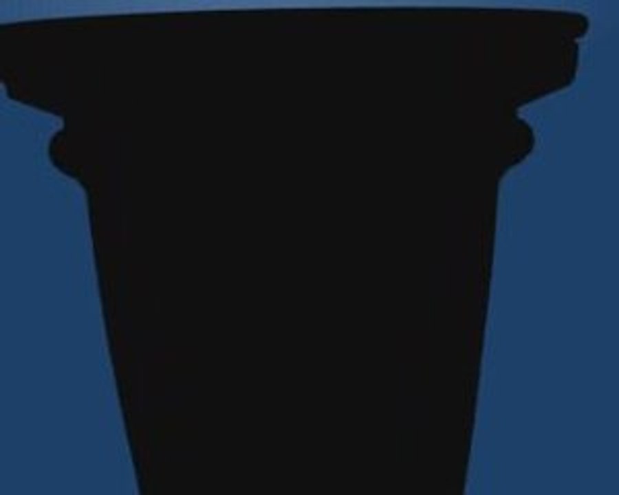 Aperçu d'une colonne de la vidéo Bassin