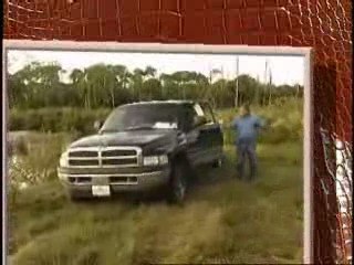 How Alligators are Farmed