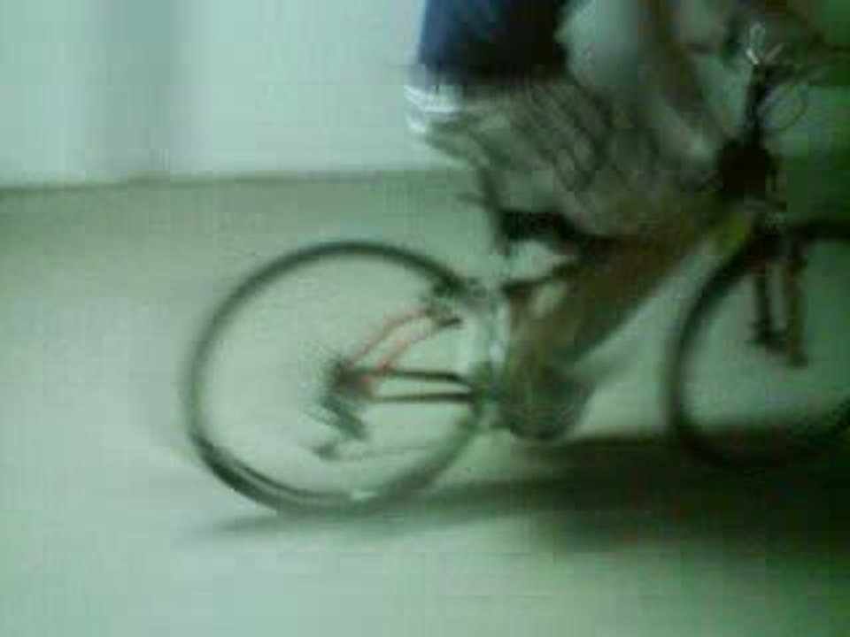 Velo