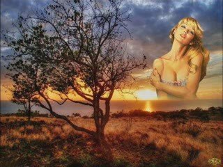 Roisin _ Murphy _dear _ miami_