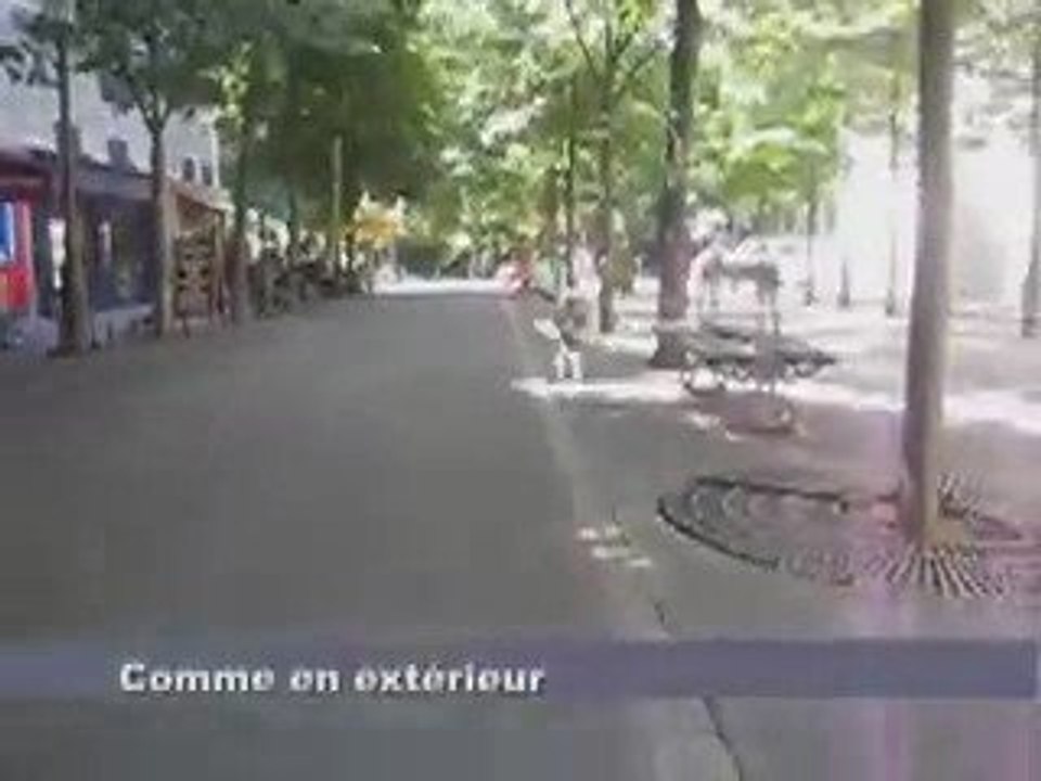 Lupin, adorable petit chien à adopter MAINTENANT (JUIN 2009)