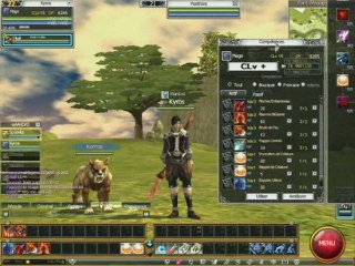 Presentation de Rappelz (PC)