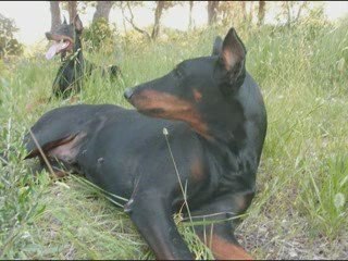 Sortie du 3 juin 2009 alter & sam