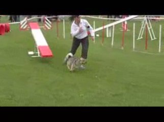 STGR Lezignan Boom Agility2