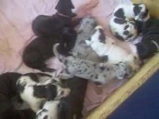 20 jours reveil des bébés