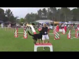 STGR Lezignan Roxane Agility2