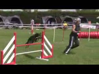 STGR Lezignan Roxane Jumping2