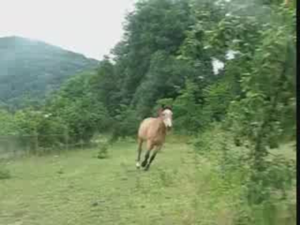 Douune && Kellouune galooooop