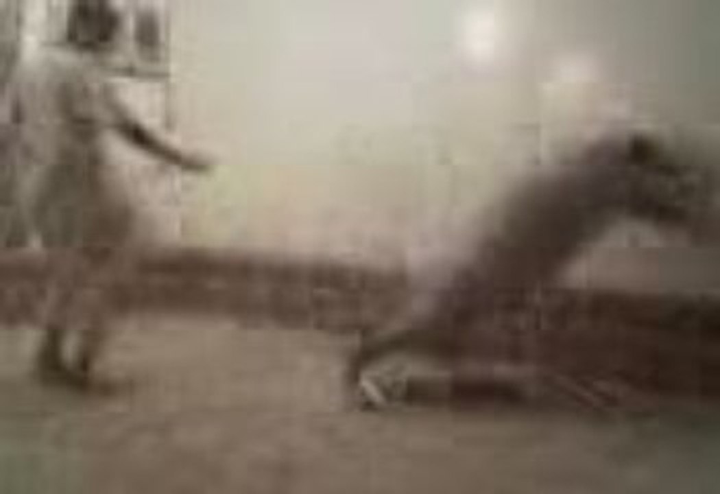 coup de pied