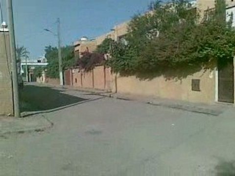 Adel fi maruti alto sénia oran algérie