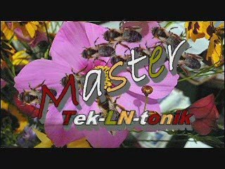 MASTER Tek-LN-tonik de Sylvain Släyd - Clip artistereveur