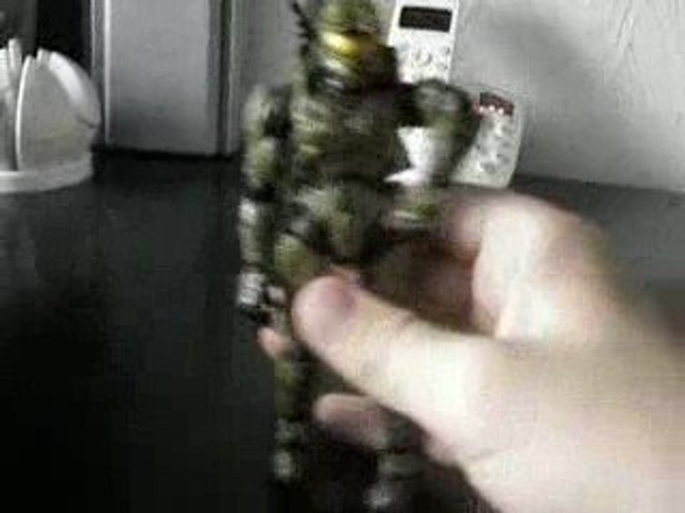 halo perso