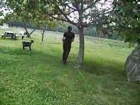 Les bikettes au chv'al =)