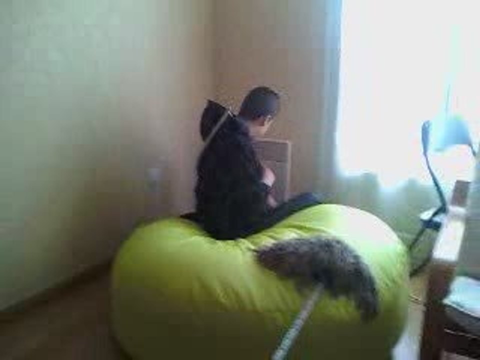 bistoufléxxxxxxx