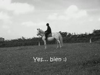 08/05/09   - travail en licol avec hondo