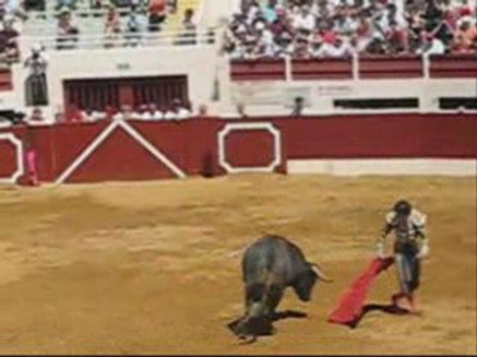 VIC 2009 FLOR DE JARA