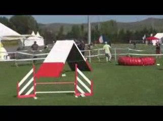 STGR Lezignan Tweeny Agility1