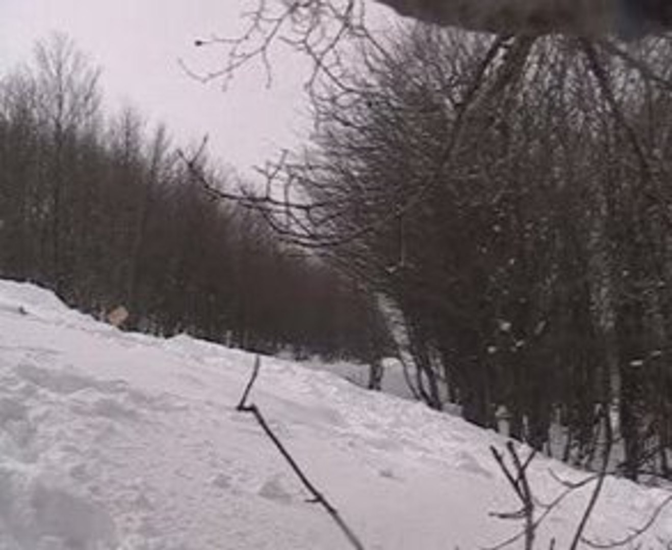 ⁣SNOW AVEC KEV