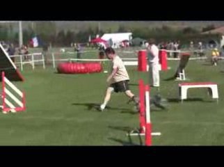 STGR Lezignan Blueberry Agility1