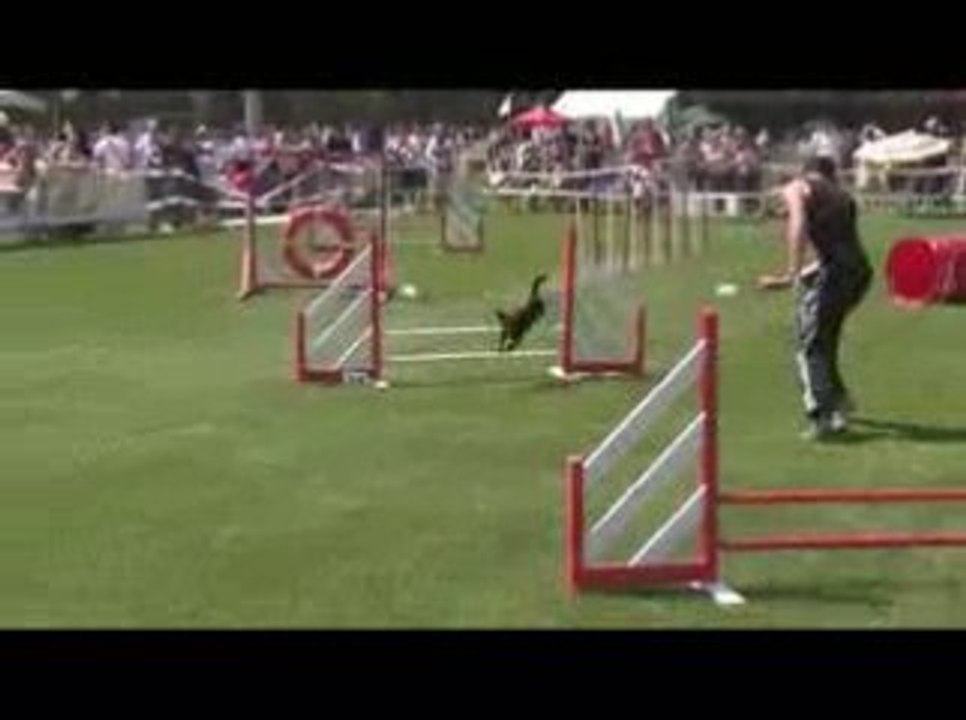STGR Lezignan Fripouille Jumping1