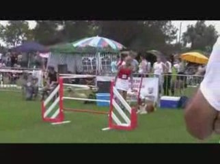 STGR Lezignan Prissou Agility1