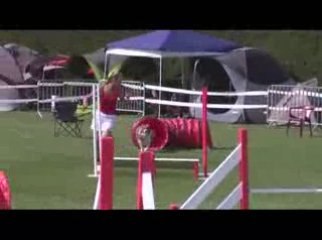 STGR Lezignan Prissou Jumping1