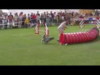 STGR Lezignan Vesta Jumping2