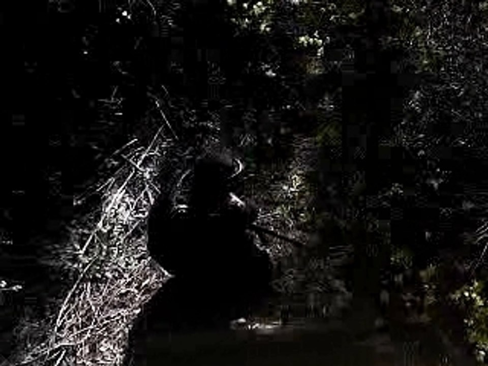 paintball bellegardais