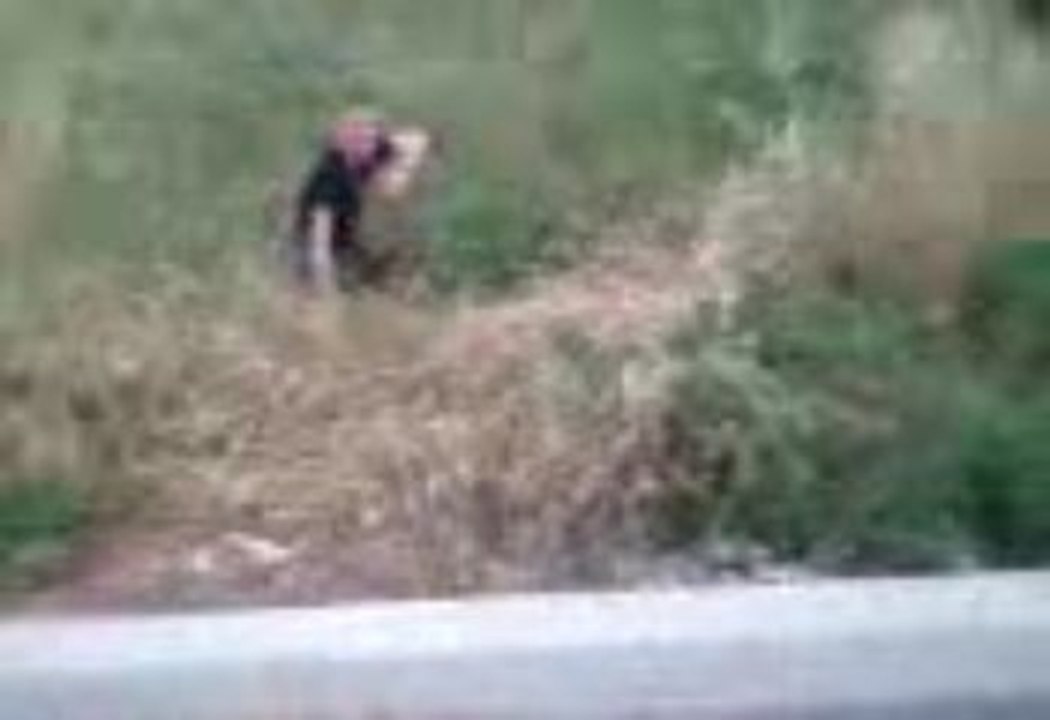 Vidéo010
