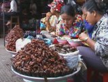Kambodża, Cambodia - Phnom Penh