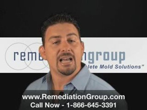 [REMEDIATION GROUP] Mold remediation Fort Lauderdale FLORIDA