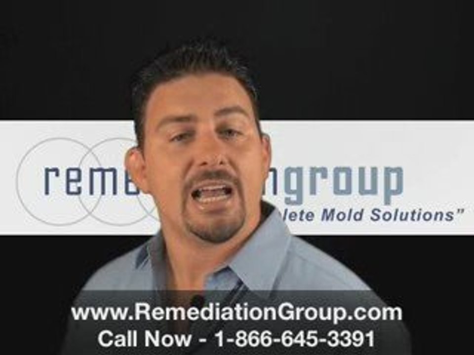 [REMEDIATION GROUP] Mold remediation Fort Lauderdale FLORIDA