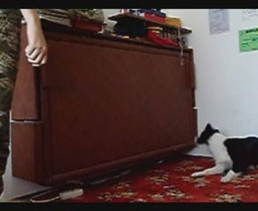 We training a broadcasting